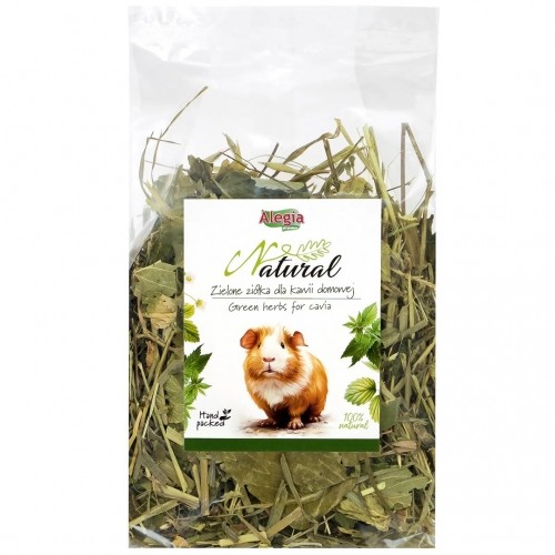 ALEGIA Green herbs for cavia - treat for domestic cavies - 100g image 1