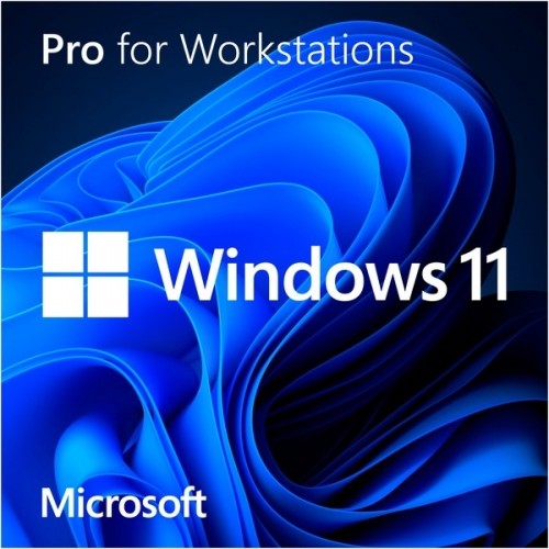 Windows 11 Pro for Workstations, Betriebssystem-Software image 1
