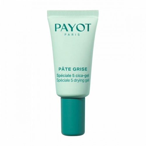 Day Cream Payot PÂTE GRISE image 1