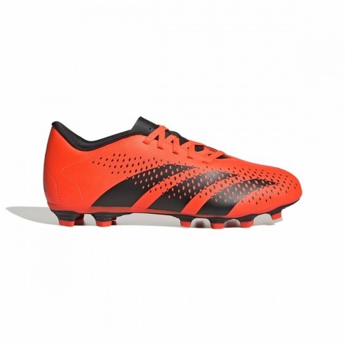 Adult's Football Boots Adidas Predator Accuracy.4 FXG Orange image 1