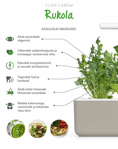 Click & Grow Smart Garden refill Руккола 3 штуки image 2