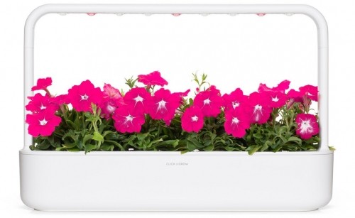 Click & Grow Smart Garden refill Pink Petunia 3pcs image 2