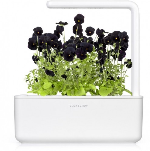 Click & Grow Smart Garden refill Black pansy 3шт image 2