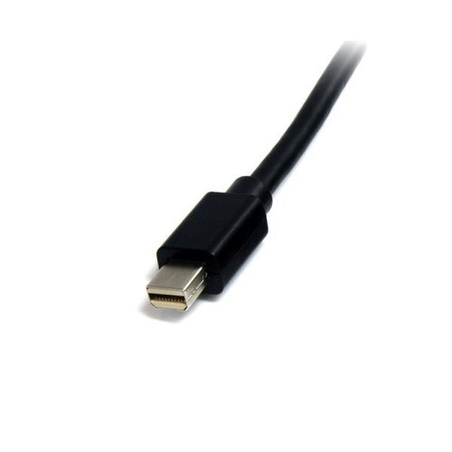 Mini Display Port cable Startech MDISP2M              (2 m) 4K Ultra HD Black image 2