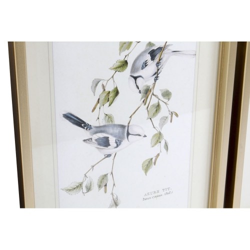 Painting DKD Home Decor 35 x 2,5 x 45 cm Traditional Birds (4 Pieces) image 2