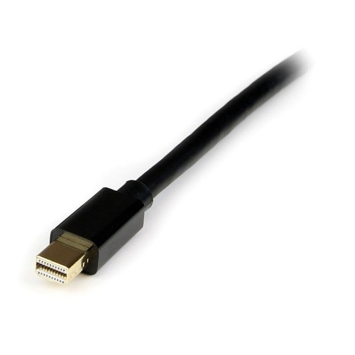 Mini DisplayPort to DisplayPort Cable Startech MDP2DPMM4M           Black 4 m image 2