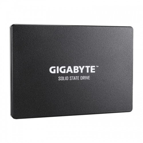 Cietais Disks Gigabyte GP-GSTFS31256GTND 256 GB SSD image 2