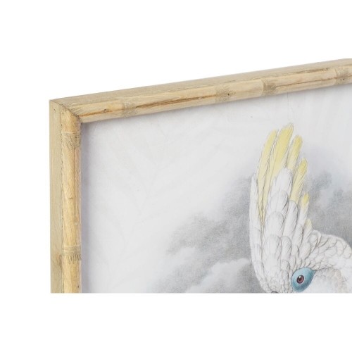 Картина DKD Home Decor Колониальный Птица (50 x 2,8 x 70 cm) (2 штук) image 2