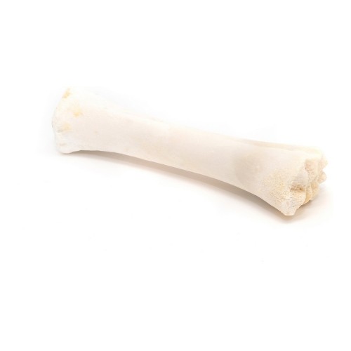 Dog Snack Gloria Bone Calcium 20 Units image 2