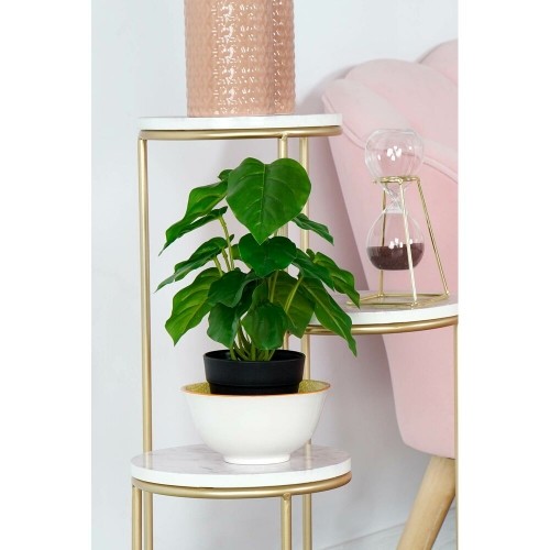 Декоративное растение DKD Home Decor Чёрный Зеленый PVC PP (20 x 20 x 30 cm) image 2