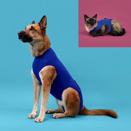 Recovery Vest for Pets KVP Blue 45-53 cm image 2