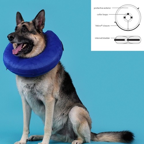 Recovery Collar for Dogs KVP Kong Cloud Blue Inflatable (+46 cm) image 2