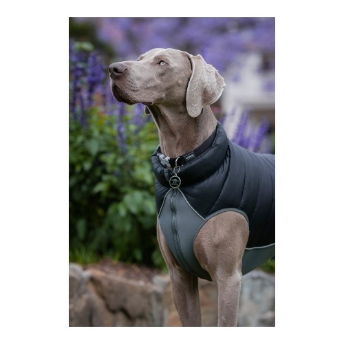 Dog Coat Red Dingo Puffer 45 cm Black/Grey image 2