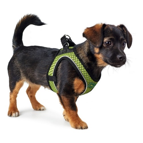 Suņu drošības siksna Hunter Hilo-Comfort Kaļķi XS izmērs (35-37 cm) image 2
