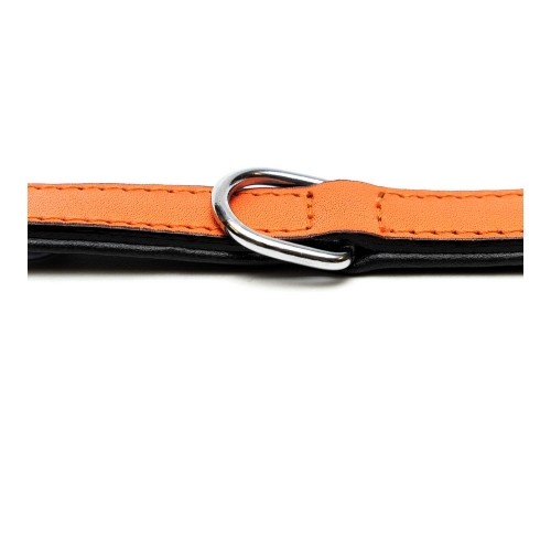 Dog collar Gloria Padded Orange (55 x 2,5 cm) image 2