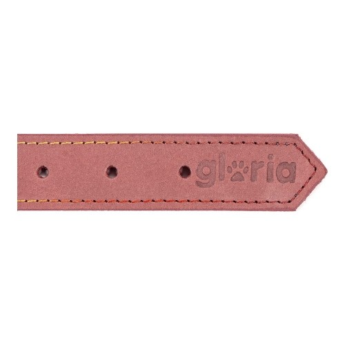 Dog collar Gloria Oasis Pink (60 x 3 cm) image 2