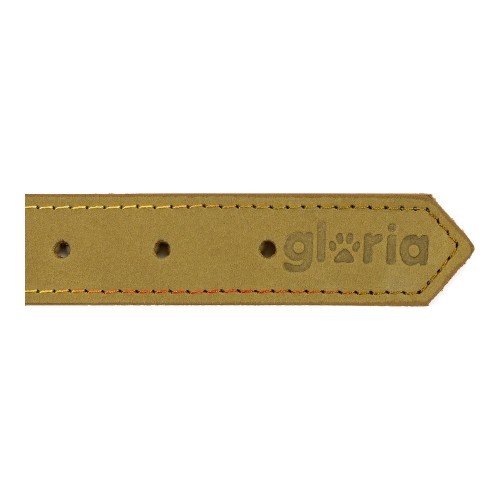 Dog collar Gloria Oasis Green (55 x 2,5 cm) image 2