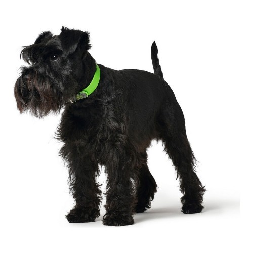 Dog collar Hunter Convenience Green Size M/L (42-50 cm) image 2