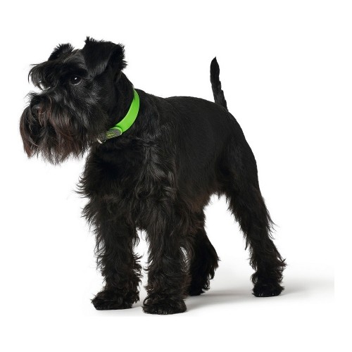 Dog collar Hunter Convenience Size M Green (38-46 cm) image 2