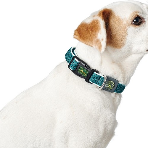 Dog collar Hunter Basic Thread Orange Size S (30-43 cm) image 2