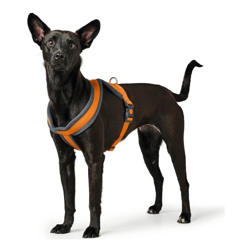 Упряжь для собак Hunter London Comfort 52-62 cm Оранжевый Размер S/M image 2