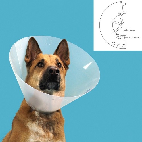Elizabethan Dog Collar KVP Quick Fit Transparent (45-56 cm) image 2