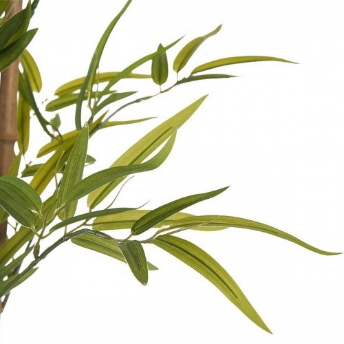 Ibergarden Декоративное растение Бамбук Зеленый Пластик (80 x 150 x 80 cm) image 2