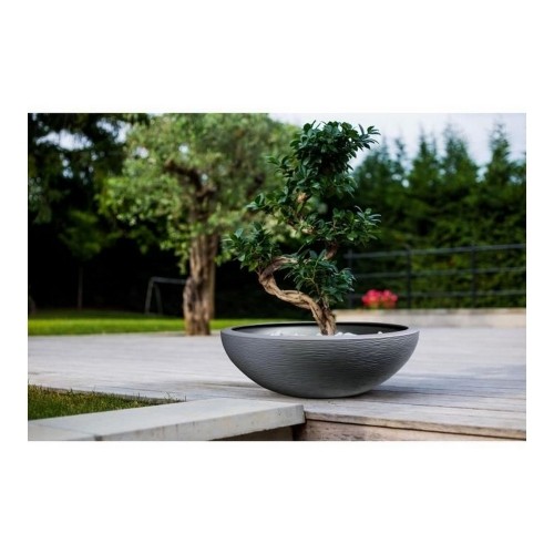 Plant pot EDA Graphit Washbasin Grey Dark grey (Ø 59 x 21 cm) image 2