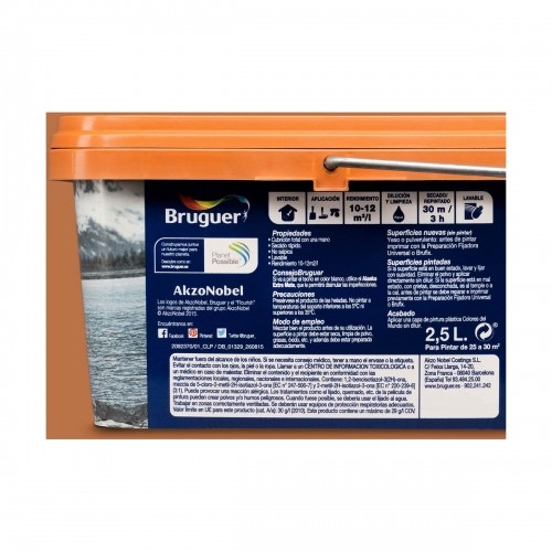 Plastic paint Bruguer Boreal Contrast 2,5 L Orange image 2