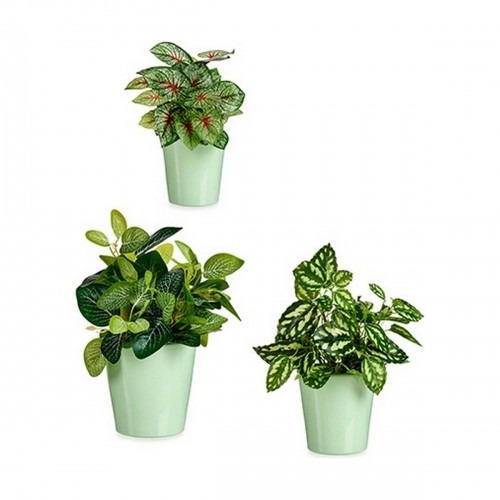 Set of pots Green Clay (6 Units) image 2