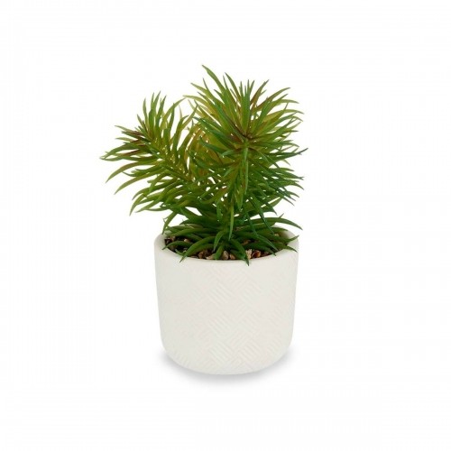 Ibergarden Декоративное растение Белый Зеленый (14 x 20 x 14 cm) (12 штук) image 2