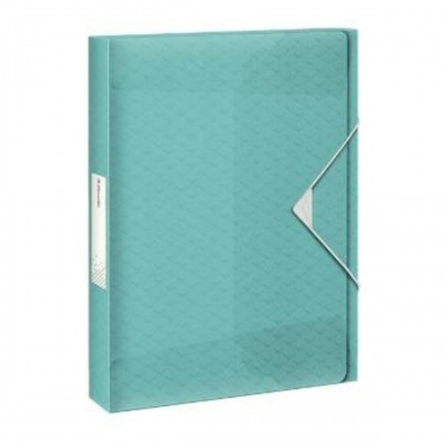 Folder Esselte Colour'ice A4 Blue (5 Units) image 2