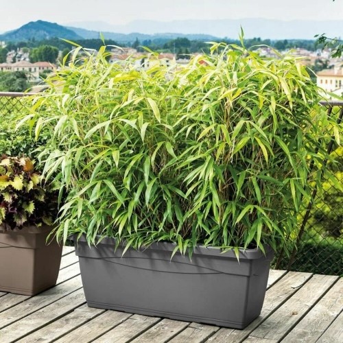 Plant pot Deroma Day R 80 x 33,5 cm Rectangular Anthracite Injected image 2