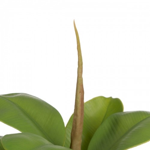 Bigbuy Home Декоративное растение Зеленый PVC Дуб 58 cm image 2