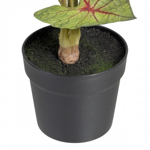 Bigbuy Home Декоративное растение Красный Зеленый PVC 40 x 35 x 55 cm image 2