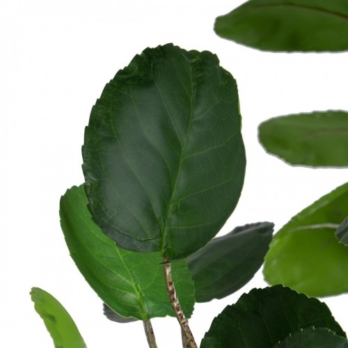 Bigbuy Home Декоративное растение 80 x 77 x 113 cm Зеленый PVC Aralia image 2