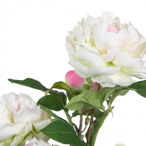 Decorative Plant 34 x 30 x 59 cm Cream Peony image 2