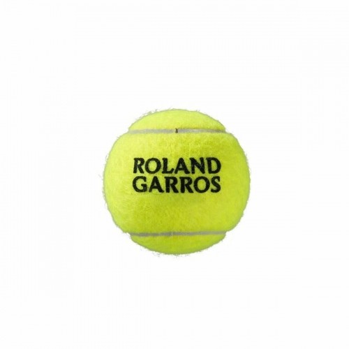 Теннисные мячи Wilson Roland Garros All Court Жёлтый image 2