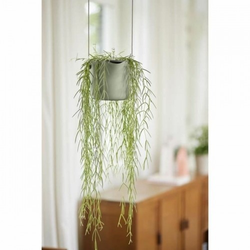 Подвесной горшок для растений Elho   Круглая Зеленый Пластик Ø 18 cm image 2