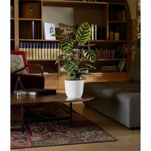 Plant pot EDA Opal Chape White Ø 29,5 cm image 2