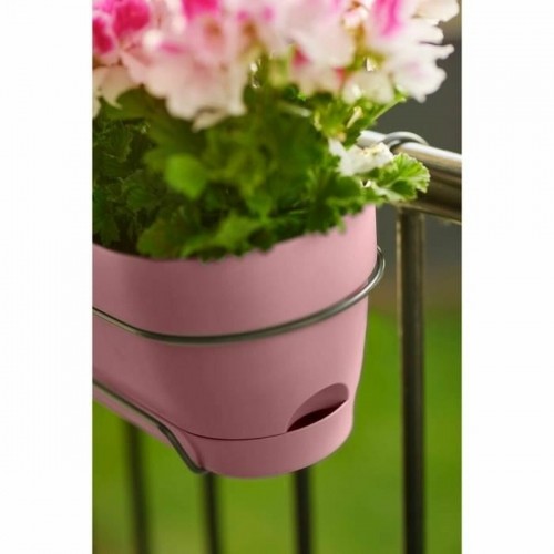 Наружный ящик для растений Elho   50 cm Прямоугольный Розовый Пластик image 2
