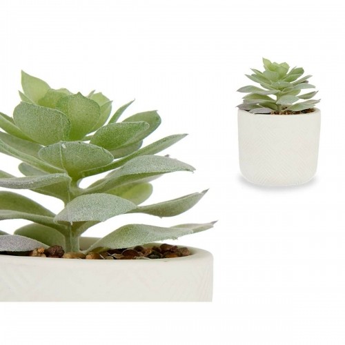 Decorative Plant Succulent Plastic 14 x 13,5 x 14 cm (12 Units) image 2