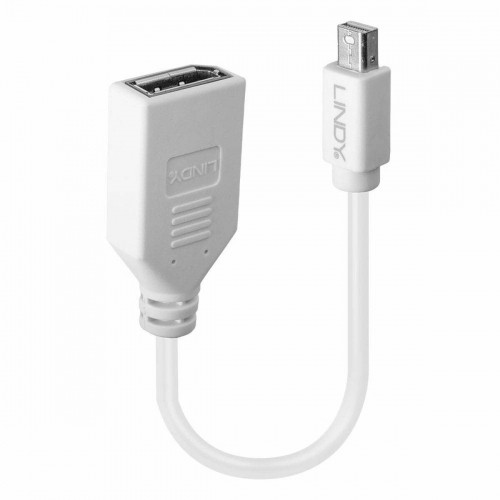 Адаптер Mini DisplayPort — DisplayPort LINDY 41021 Белый image 2