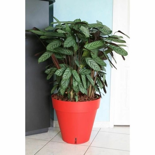 Plant pot Riviera Red polypropylene Plastic Circular Ball Ø 50 cm image 2