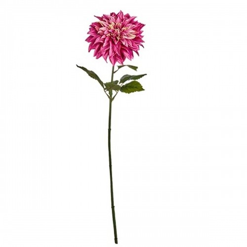 Ibergarden Декоративный цветок Георгин Фуксия 16 x 74 x 16 cm (6 штук) image 2