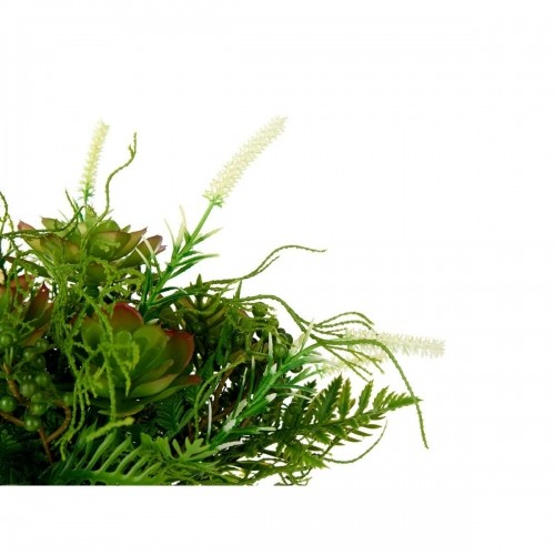 Ibergarden Dekoratīvs Augs Vīnaglāze Plastmasa 21 x 30 x 21 cm (6 gb.) image 2