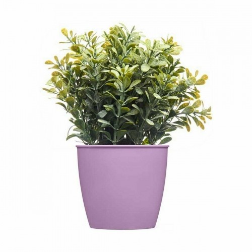 Planter Stefanplast Academy Plastic 11,3 x 10 x 11,3 cm (60 Units) image 2