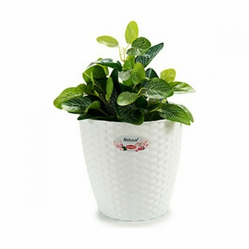 Planter Stefanplast White Plastic 24 x 22,5 x 24 cm (6 Units) image 2