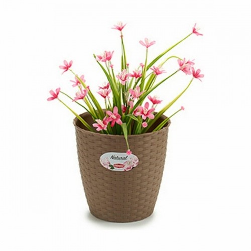 Planter Stefanplast Brown Plastic 19 x 17,5 x 19 cm (12 Units) image 2