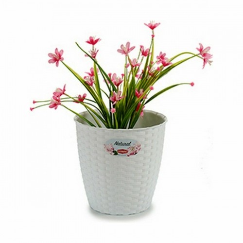 Planter Stefanplast White Plastic 19 x 17,5 x 19 cm (12 Units) image 2